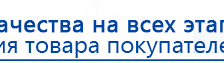 ДЭНАС-ПКМ (Детский доктор, 24 пр.) купить в Звенигороде, Аппараты Дэнас купить в Звенигороде, Дэнас официальный сайт denasolm.ru