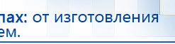 СКЭНАР-1-НТ (исполнение 02.1) Скэнар Про Плюс купить в Звенигороде, Аппараты Скэнар купить в Звенигороде, Дэнас официальный сайт denasolm.ru